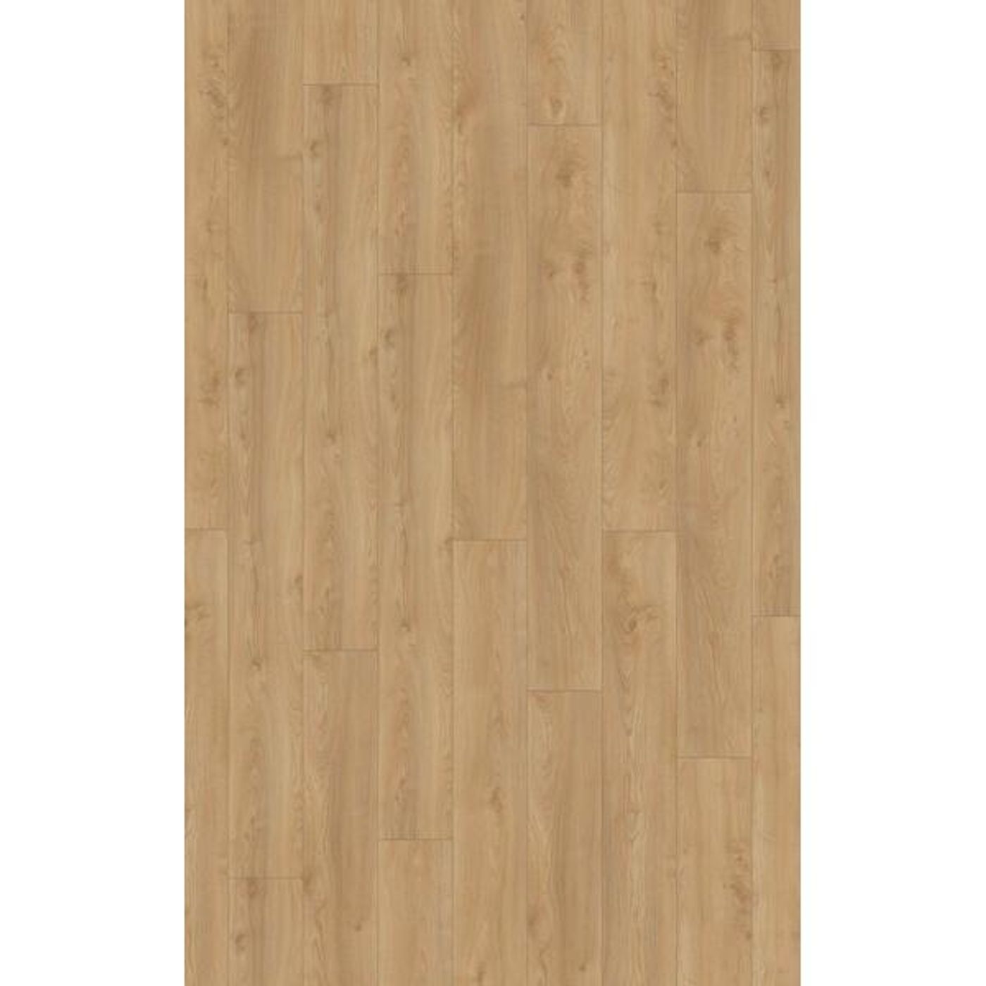 Laminat Kronotex Mammut Plus MGC 41642 Macro Oak Silver