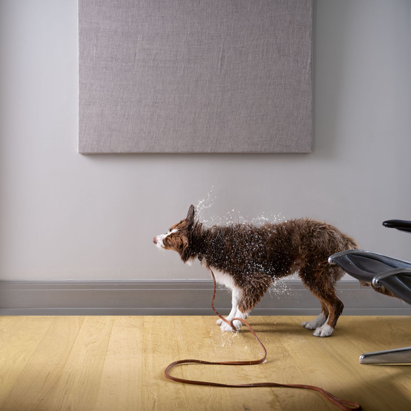 Parkett Pergo Falster - Light Pure Oak