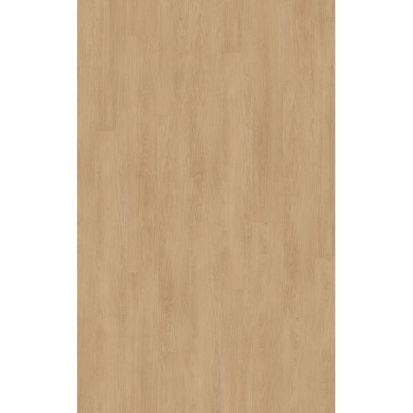 Laminat Kronotex Mammut Plus 81162 Elegance Oak Crem