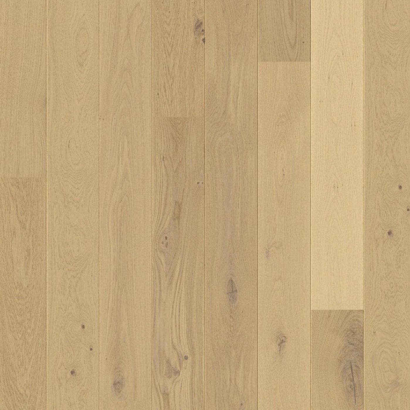 Parkett Pergo Falster - Spring Oak